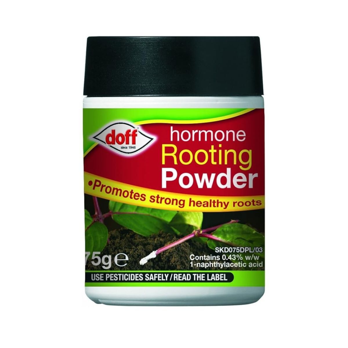 Enracinement de la poudre