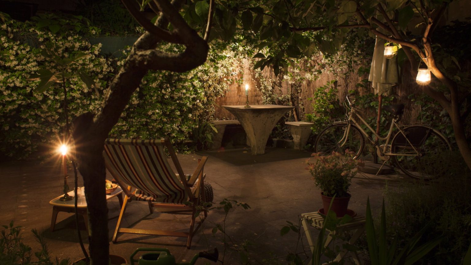 5 plantes indigènes pour les pollinisateurs nocturnes – ces fleurs nord-américaines attireront des papillons, des chauves-souris et des coléoptères sous la couverture de l’obscurité A candle-lit backyard with seating and flowering star jasmine