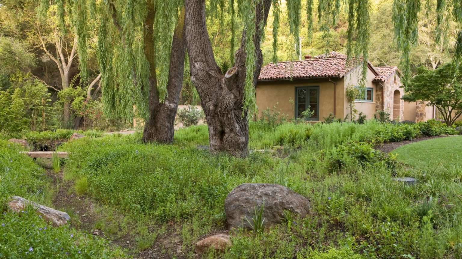 Ce seau de 8 $ de Doom « arrête les moustiques se reproduisant pendant l’été – c’est si simple, et cela ne nuira pas à d’autres animaux sauvages dans la cour Drainage swale rain garden with groundcovers under willow tree in California garden