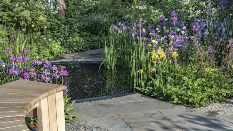 7 plantes au paillis en octobre – Isulser ces plantes tendres avant le gel peut les sauver d’une disparition d’hiver Purple and yellow flowers in a border around a circular pond