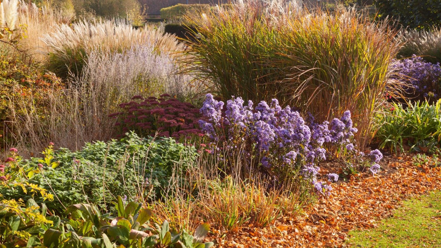 7 erreurs de jardinage d’automne qui pourraient remettre votre chantier de printemps – conseils d’experts pour éviter les erreurs courantes cette saison Fall garden plants