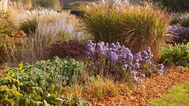 7 erreurs de jardinage d’automne qui pourraient remettre votre chantier de printemps – conseils d’experts pour éviter les erreurs courantes cette saison Fall garden plants