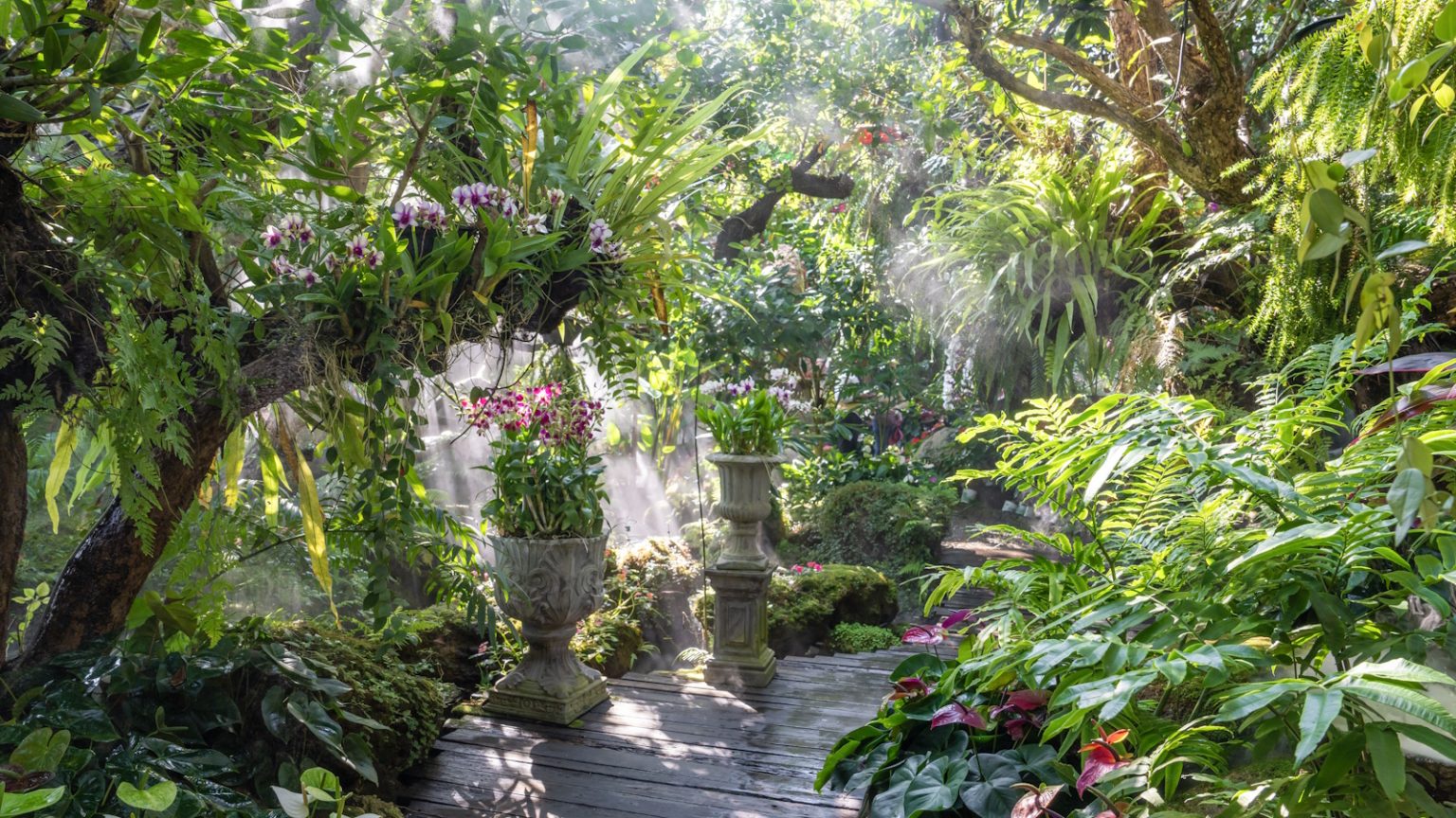 Il est maintenant temps de stimuler les pots d’été – ce shaker engrais facile à utiliser est le seul produit dont votre jardin a besoin pour plus de fleurs à l’automne Ferns and orchids in a tropical-style garden with flower pots in the shade