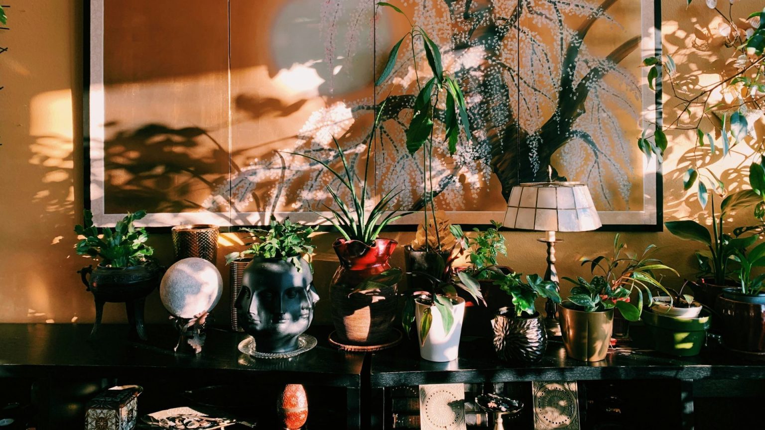 Croyez-moi, les belles plantes d’intérieur sont le secret pour créer une sensation d’automne plus confortable, plus saine et plus magique dans votre maison A collection of houseplants