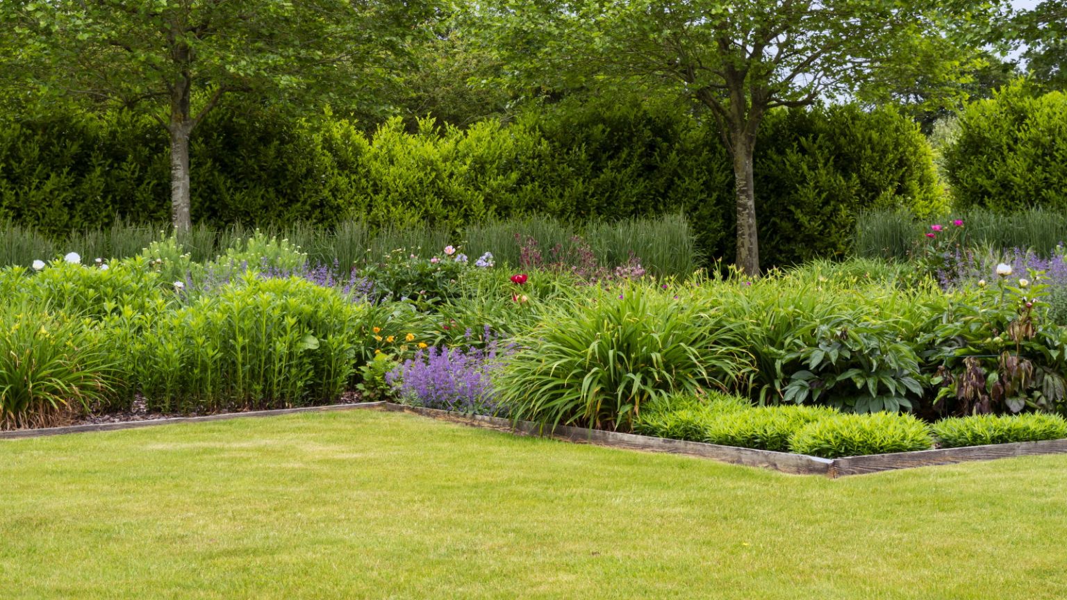 Vous pouvez facilement repousser les larves par plantation de compagnie, et ce sont les 3 plantes à utiliser – le meilleur est une herbe populaire que vous avez peut-être déjà dans votre jardin A mixed flower border next to a green lawn
