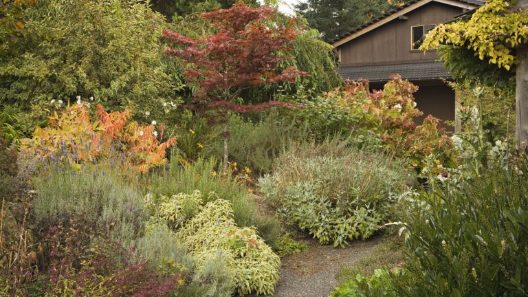 Trees and shrubs with autumn colour in a flower bed in front of a property