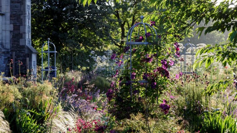 J’avais perdu espoir en ravivant mes plantes déshydratées jusqu’à ce que je découvre de l’eau des champignons – un tonique biologique que vous pouvez faire vous-même, et ce n’est pas aussi fou que cela semble Garden full of blooms with trellises in borders