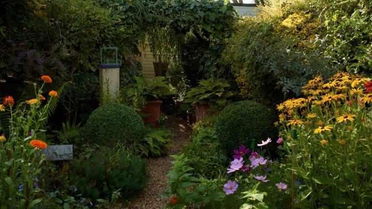 Les experts de la faune exhortent les jardiniers à faire ces 5 choses pour aider les pollinisateurs et les oiseaux à l’automne – ils sont tous faciles et transforment votre cour en un refuge sûr Garden in full bloom in evening light