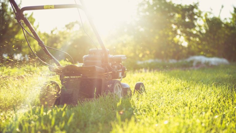 C’est quand faire votre tondeuse finale de l’année avant que l’hiver ne s’installe – pour la pelouse la plus saine au printemps prochain A gardener using a lawn mower on a sunny evening