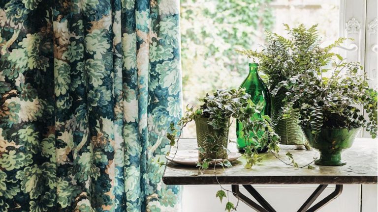 5 résolutions du Nouvel An concernant les plantes d’intérieur auxquelles je m’en tiens pour un jardin intérieur plus sain et plus beau en 2026 Summer houseplant care mistakes