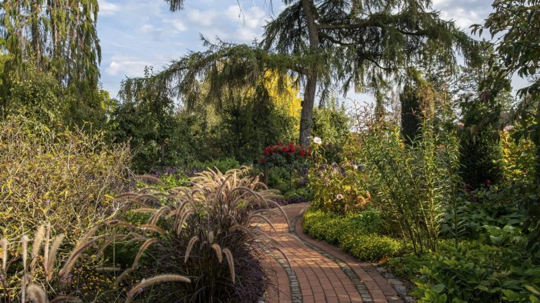 Je suis un grand jardinier et une houe à long terme est celle qui désherbe l’essentiel que je ne peux pas passer en octobre sans – cela empêche la douleur afin que je puisse jardiner dans le confort plus longtemps A curved brick path leads through a garden with flowers, grasses, and a large cedar tree