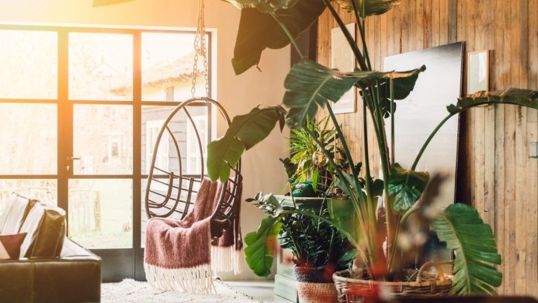 J’ai toujours pensé que les lumières de culture étaient laides, mais ces 9 font du décor chic et encouragent une croissance saine des plants d’intérieur – en plus ils sont tous extrêmement réduits sur Amazon, mais pas pendant longtemps Feng Shui houseplant mistakes