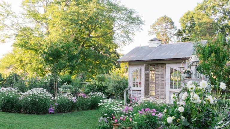 Le hangar d’empotage : comment l’amour d’un photographe pour la narration lente a transformé une grange récupérée en un sanctuaire de jardin fleuri A wooden white garden building amongst big flower beds