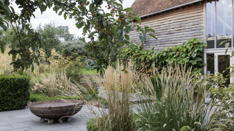 Le temps presse pour effectuer les travaux de jardinage d’automne, alors abandonnez ces 5 tâches maintenant – les experts assurent qu’elles peuvent être retardées jusqu’au printemps Fall garden filled with ornamental grasses