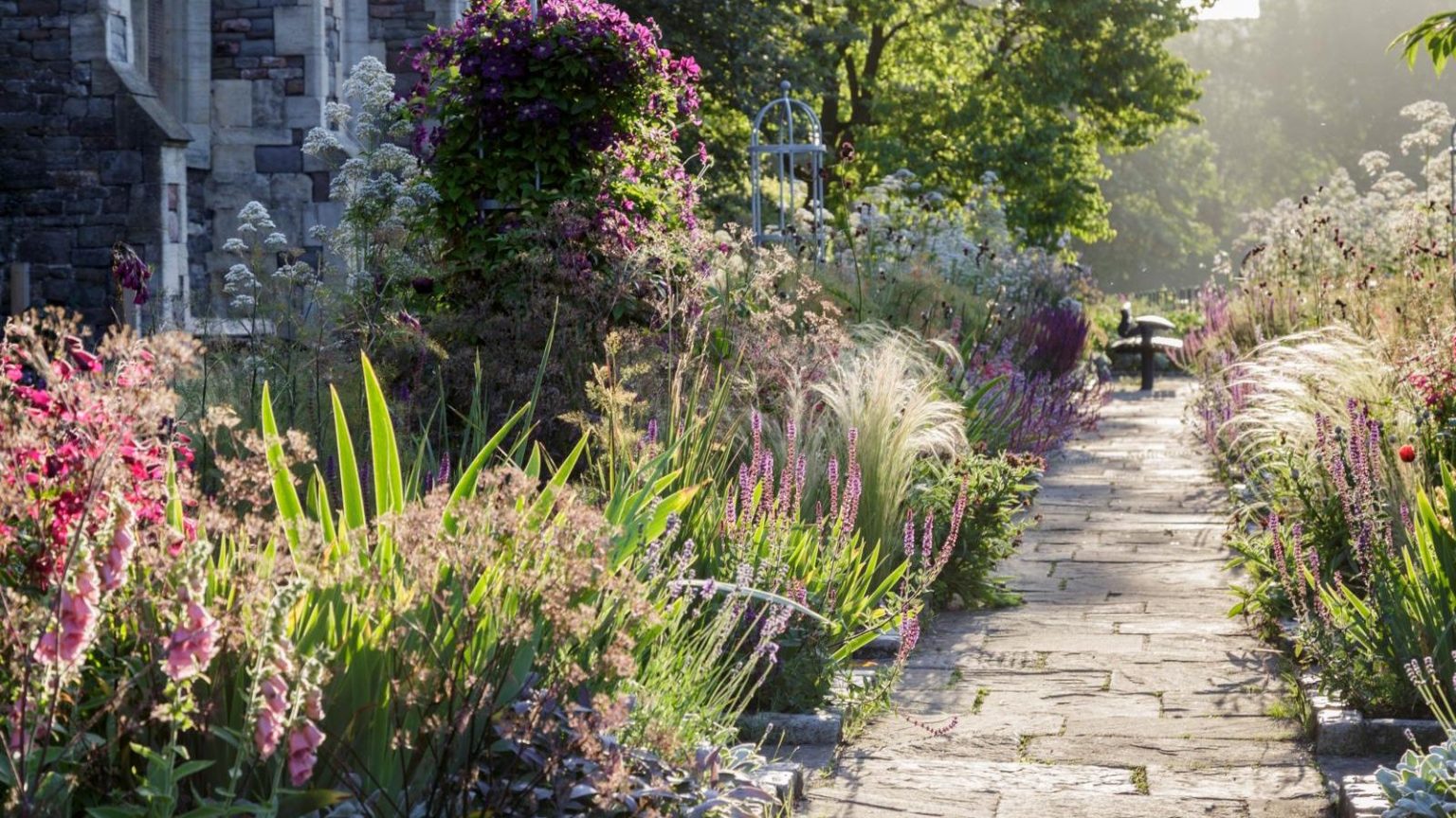 Les jardiniers professionnels ne jurent que par cette astuce de conception simple pour un jardin texturé et sans tracas – et cette semaine est votre dernière chance de les planter à temps pour le printemps Plants to deadhead in August