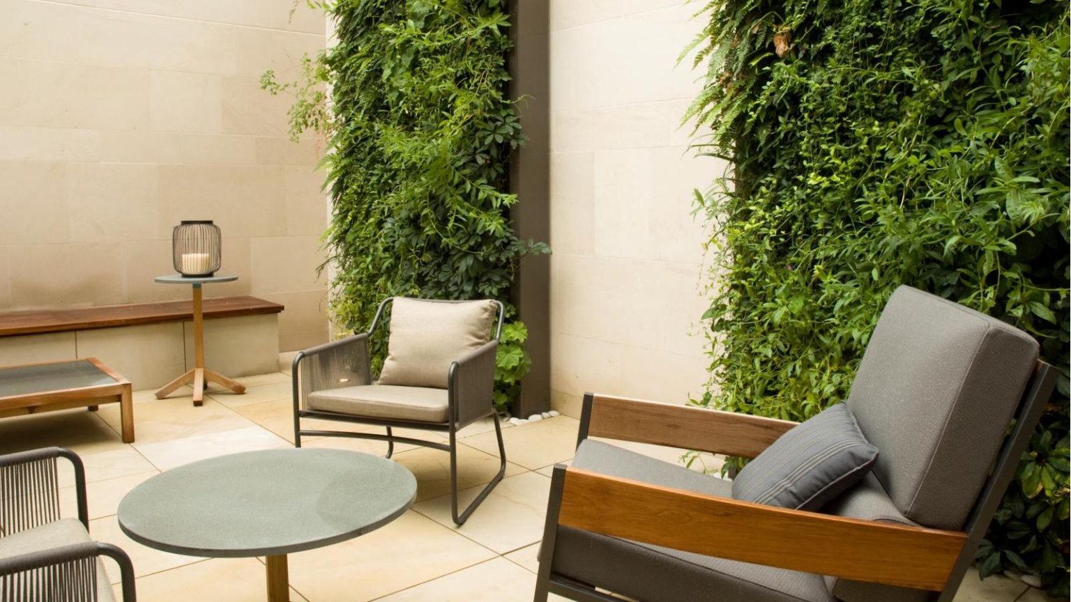 Idées de jardins intérieurs verticaux – 7 belles façons d’ajouter une nouvelle dimension à votre exposition de plantes Vertical garden full of foliage