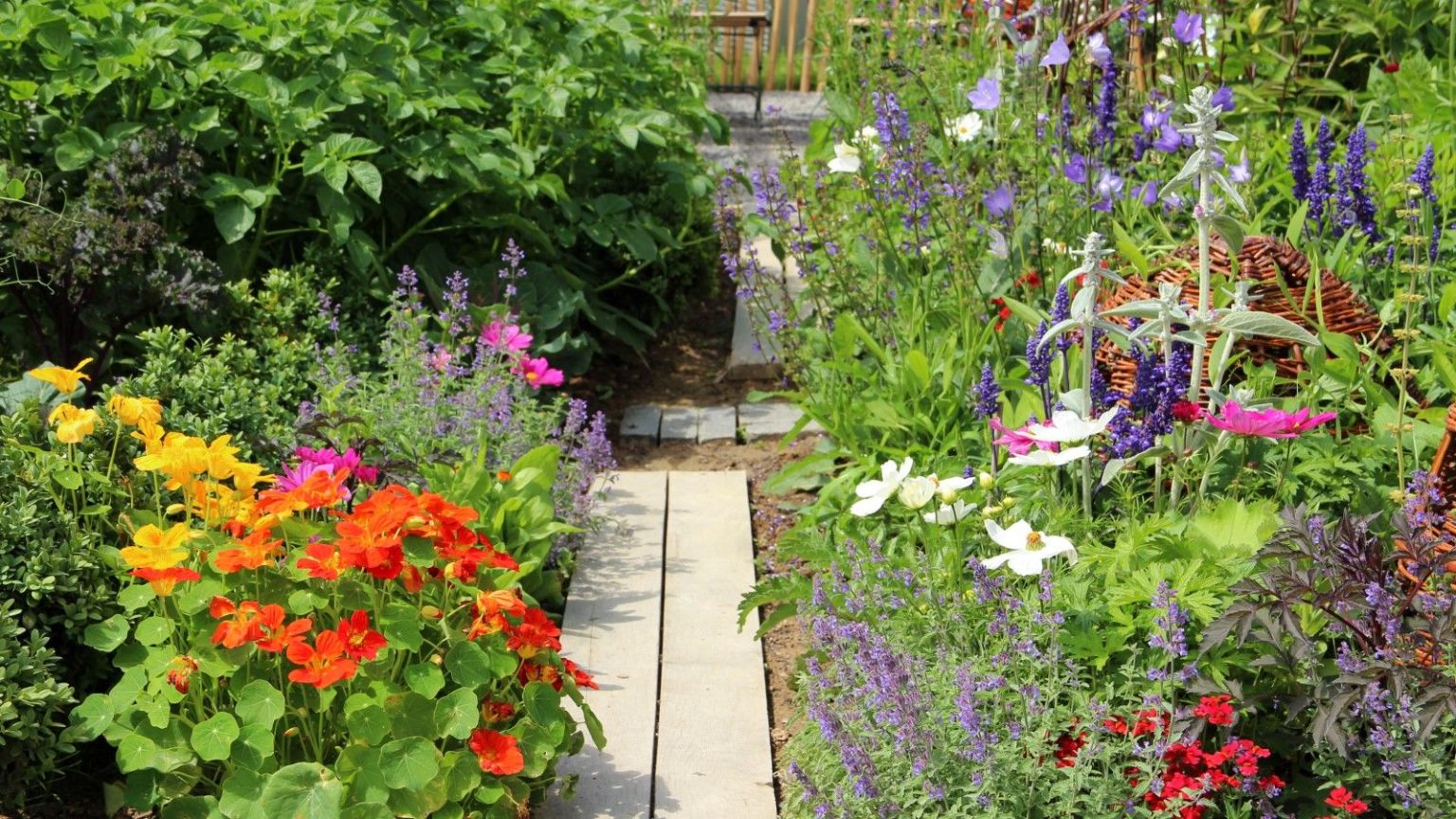 L’aménagement alimentaire est la tendance des jardins durables qui rend n’importe quel espace à la fois beau et productif – Les experts révèlent comment le créer dans votre propre cour Vegetables, flowers, and herbs in a garden