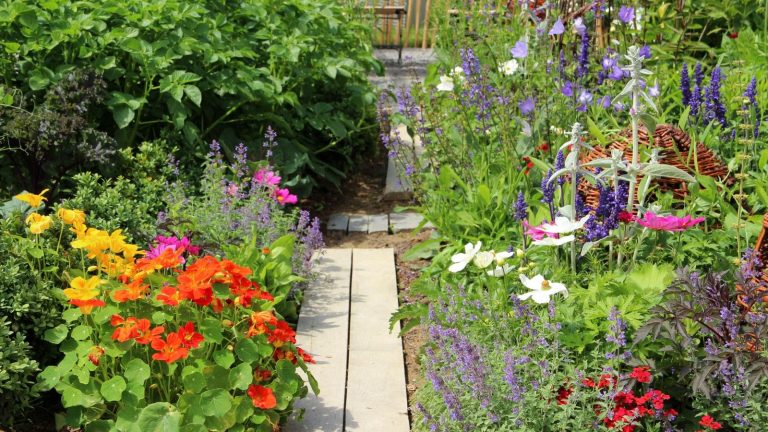L’aménagement alimentaire est la tendance des jardins durables qui rend n’importe quel espace à la fois beau et productif – Les experts révèlent comment le créer dans votre propre cour Vegetables, flowers, and herbs in a garden