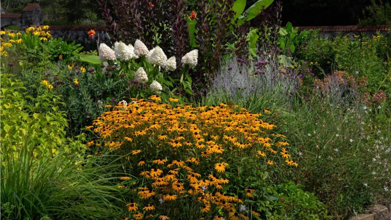 Les experts de la faune préviennent que ces 3 erreurs de nettoyage d’automne dans les jardins pourraient nuire aux oiseaux, aux mammifères et aux insectes. Heureusement, les éviter ne pourrait pas être plus facile How to attract wildlife to your yard in fall