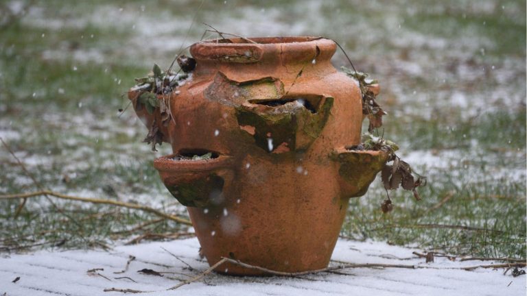 Ces 3 méthodes protègent mes pots et mes jardinières du gel à chaque fois – Protégez-les maintenant pour des contenants impeccables et sans dommages au printemps Terracotta pot in frost