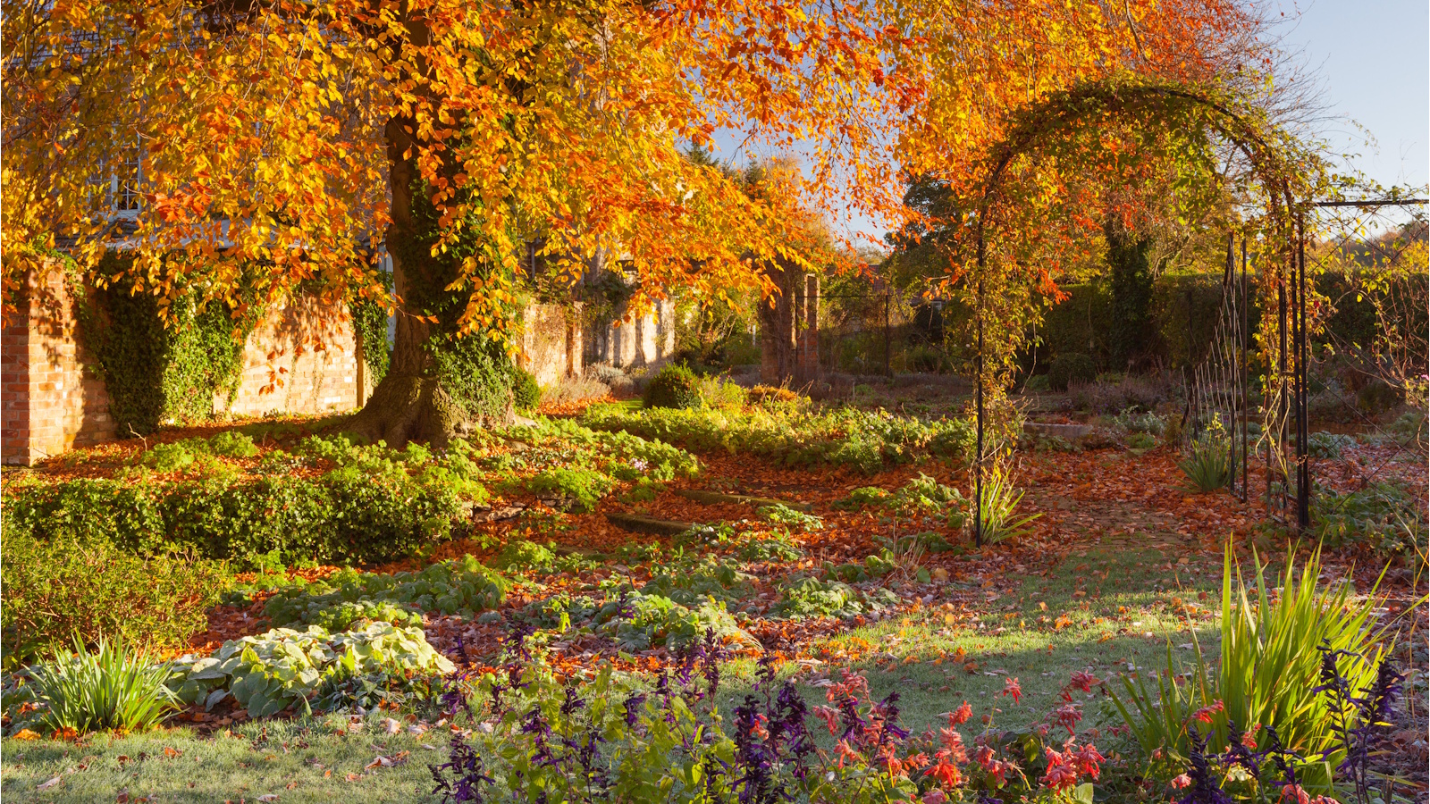 Jardin d'automne avec arbre et arche jaune vif