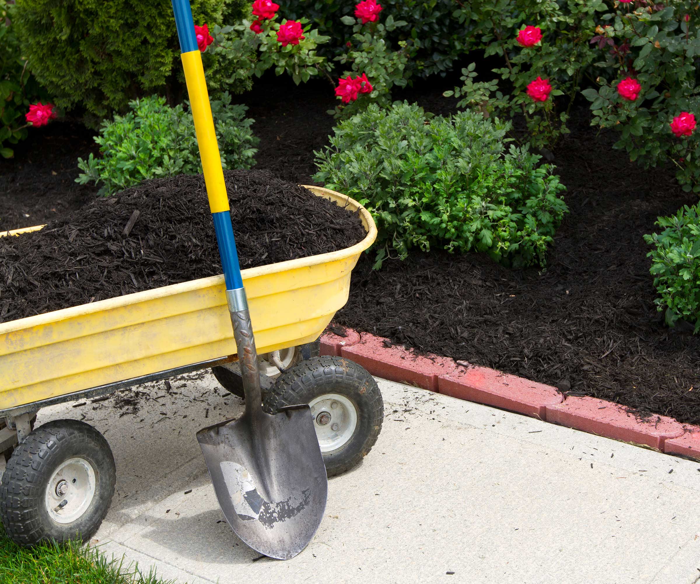 pailler les bordures avec du compost