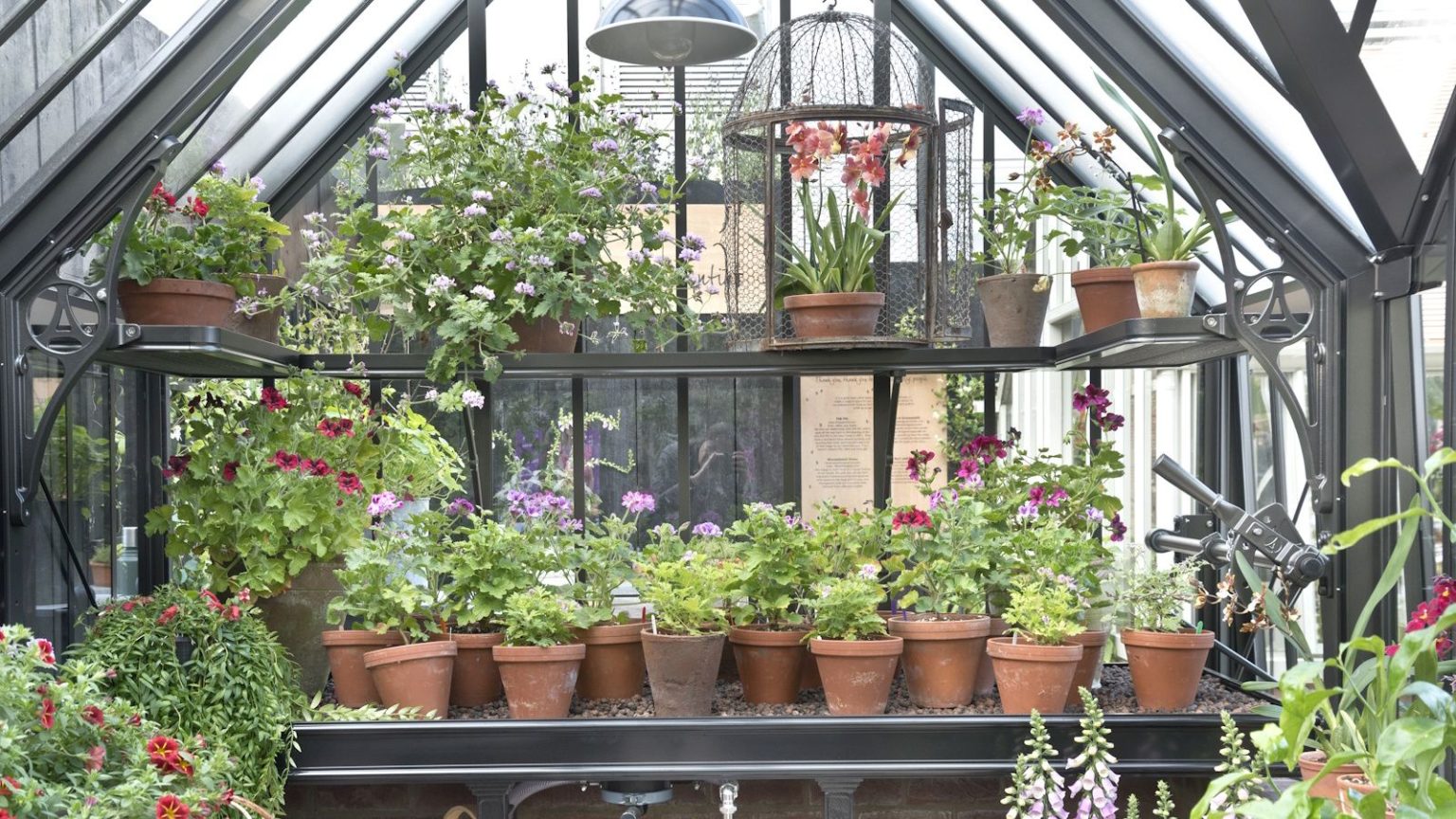 Novembre est le moment idéal pour faire des boutures – Voici 7 plantes parfaitement préparées pour se propager ce mois-ci Lots of plants in pots in modern-style greenhouse