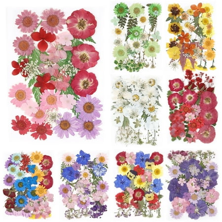 Keyohome 104/96/94 pièces ensemble de fleurs séchées pressées de vraies feuilles florales pressées naturelles bricolage de vraies fleurs pressées pour la maison intérieure et extérieure, 3 feuilles