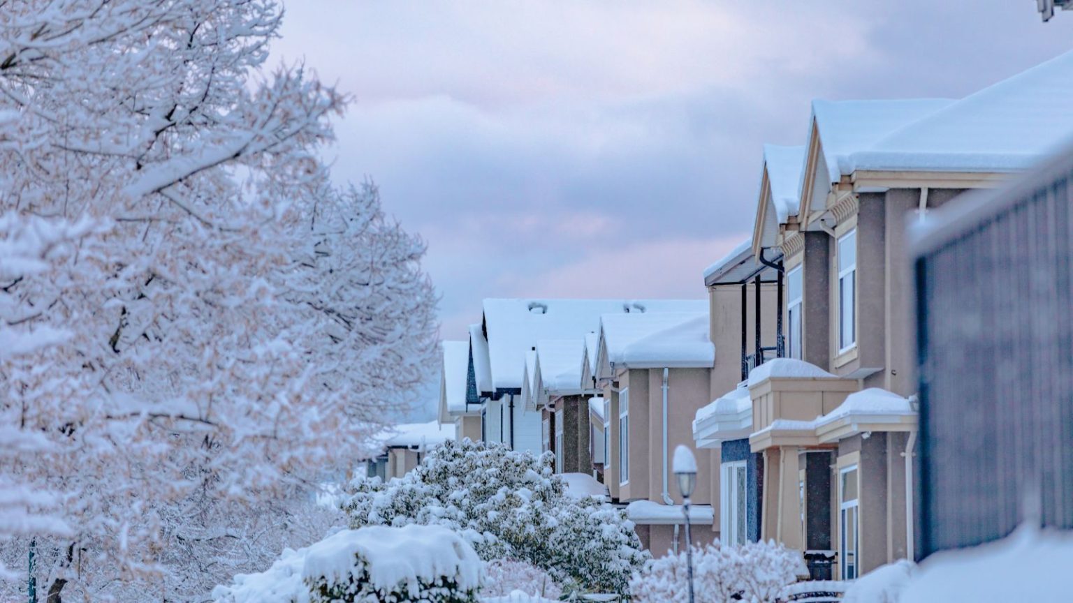 Il s’agit de l’outil de nettoyage de panneaux solaires indispensable à 30 $. Les experts ne jurent que par son entretien hivernal facile – et vous n’avez pas besoin de monter une échelle pour l’utiliser. American suburban houses in thick snow