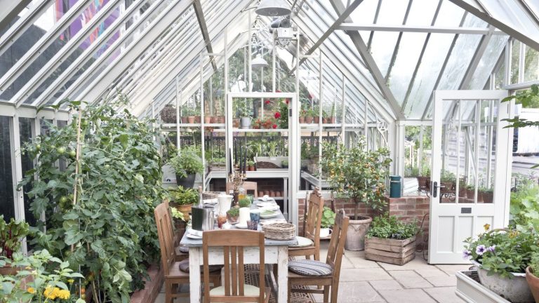Une mini-serre est la solution idéale pour protéger les plantes en hiver et prolonger la saison de jardinage – et j’ai trouvé une option Wayfair à 50 % de réduction A large glasshouse full of plants, shelving, and a table and chairs