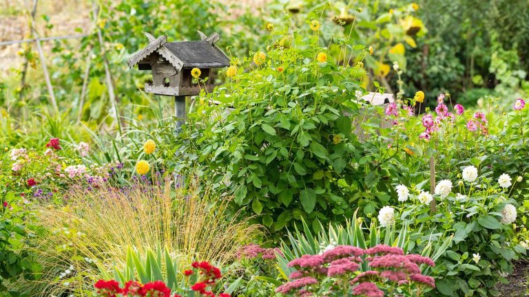 Les jardins de couloir sont la tendance du paysage écologique reliant nos arrière-cours à la nature en 2026 wooden bird table surrounded by plants, grasses and flowers