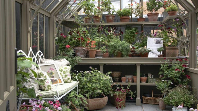 Des semis finaux au maintien des plantes en bonne santé – 7 emplois pour chaque propriétaire de serre en novembre A rustic greenhouse filled with potted plants and a metal bench