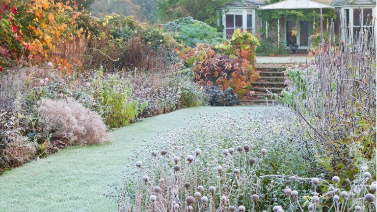 Ne fertilisez pas les plantes qui ne poussent pas en hiver – Un jardinier professionnel affirme que cela les endommage de 5 manières et constitue une perte de temps Winter garden