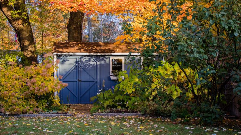 Vous oubliez de ranger une zone de votre jardin et cela attire des parasites – 5 choses que les experts vous conseillent de faire dès maintenant pour éviter le problème Garden shed in fall