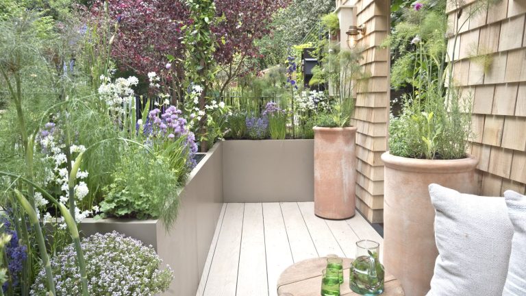 Les experts avertissent les jardiniers de ne jamais utiliser les lumières de Noël pour protéger les plantes du gel – cela pourrait constituer un risque d’incendie A balcony garden with plants growing in terracotta pots and raised planters at the Chelsea Flower Show