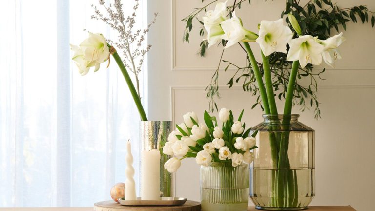 Il n’est pas trop tard pour cultiver votre propre pièce maîtresse florale festive – 7 fleurs que vous pouvez cultiver à l’intérieur en seulement six semaines selection of white amaryllis and white tulips arranged in vases with foliage on a table