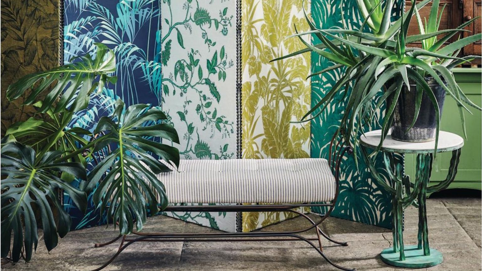 Cette erreur courante des plantes d’intérieur empêche le sol d’absorber l’eau – Heureusement, c’est facile à corriger Monstera fruit and flowers