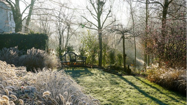 Agissez vite avant le gel – Un horticulteur vous avertit de vous débarrasser des mauvaises herbes dès maintenant pour sauver votre jardin printanier How to overwinter a garden