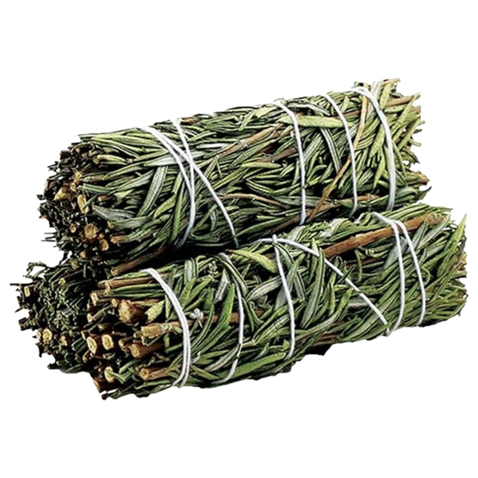 Faisceaux de romarin