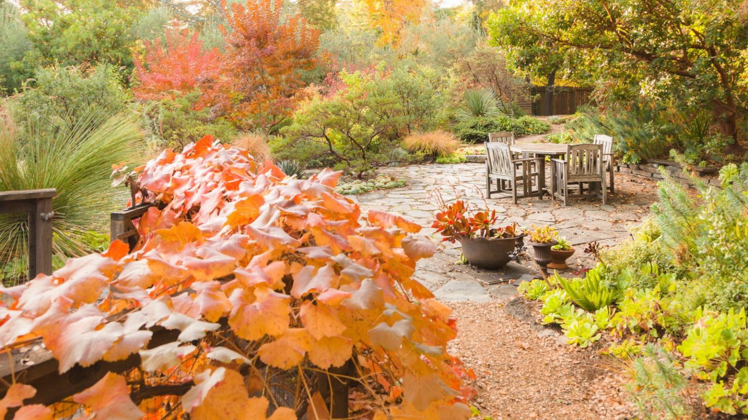 J’ai travaillé toute l’année en tant qu’horticulteur, et ces 7 travaux de jardinage de fin d’automne sont ceux que vous ne devriez jamais ignorer – croyez-moi, vos plantes vous en remercieront A fall garden with warm seasonal hues around a stone patio with a table and chairs