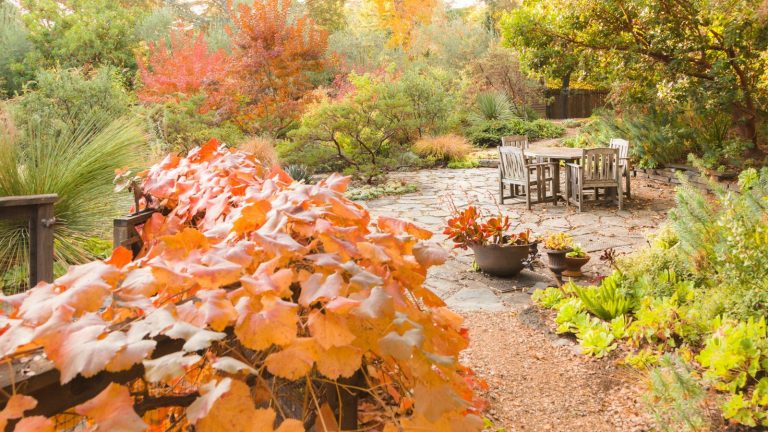 J’ai travaillé toute l’année en tant qu’horticulteur, et ces 7 travaux de jardinage de fin d’automne sont ceux que vous ne devriez jamais ignorer – croyez-moi, vos plantes vous en remercieront A fall garden with warm seasonal hues around a stone patio with a table and chairs