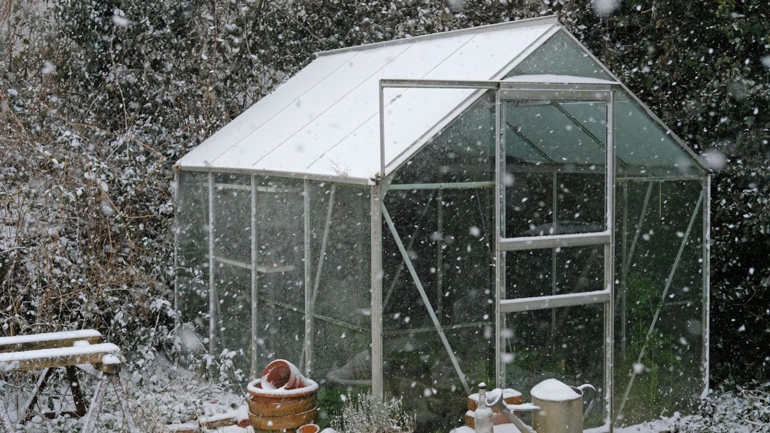 Enfin, un moyen infaillible de démarrer les graines tôt – Ce chauffage de serre facilite grandement la culture de plantes à partir de zéro en hiver, et il est en vente dès maintenant. Enfin, un moyen infaillible de démarrer les graines tôt – Ce chauffage de serre facilite grandement la culture de plantes à partir de zéro en hiver, et il est en vente dès maintenant.