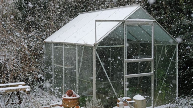 Enfin, un moyen infaillible de démarrer les graines tôt – Ce chauffage de serre facilite grandement la culture de plantes à partir de zéro en hiver, et il est en vente dès maintenant. Enfin, un moyen infaillible de démarrer les graines tôt – Ce chauffage de serre facilite grandement la culture de plantes à partir de zéro en hiver, et il est en vente dès maintenant.