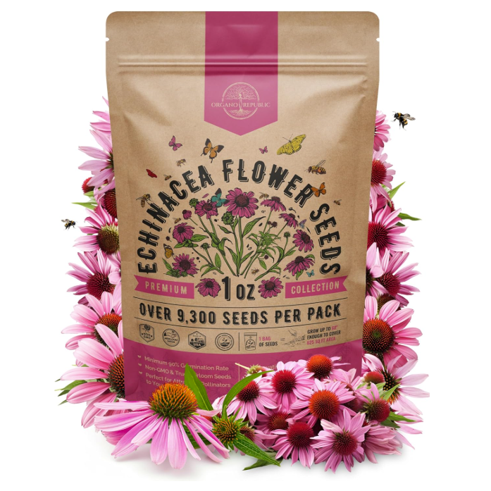 Graines d'échinacée d'Amazonie