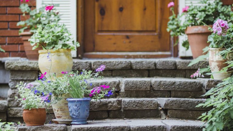 Surélever les pots est un moyen simple de garder vos plantes et vos pots en bonne santé pendant l’hiver – et cela ne prend que quelques secondes Plants in containers on steps outside a front door