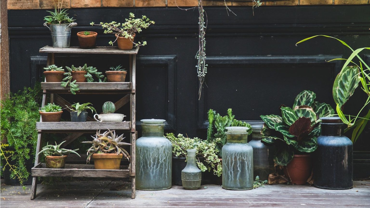 J’ai enfin arrêté de trop arroser mes plantes d’intérieur en hiver – grâce à cette astuce inattendue avec la pierre de lave When to move houseplants outdoors