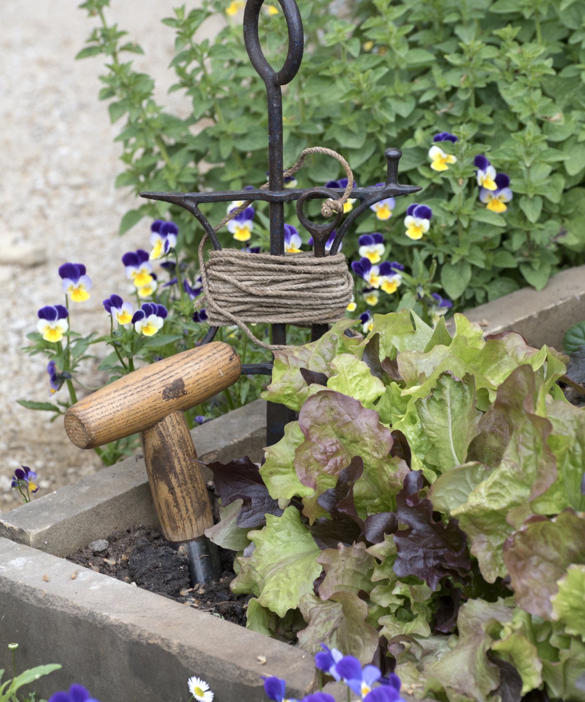 Laitue poussant dans un lit surélevé à côté d'une truelle et d'une ligne de jardin en métal