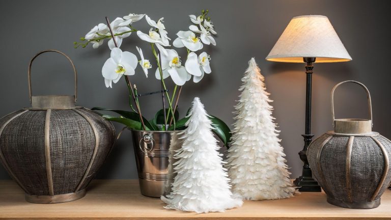 Oubliez les poinsettias – Ces 5 alternatives chics respirent le style et le charme saisonnier, pour un affichage festif non conventionnel mais élégant White Scandi Christmas, white orchid