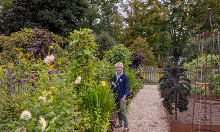 Carnets de jardin : découvrez comment Bunny Williams a passé 40 ans à transformer une pelouse du Connecticut en de fascinants salons de jardin remplis de beauté et de nostalgie. Bunny Williams in cutting garden