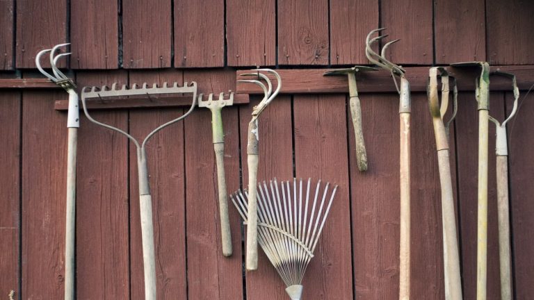 7 outils de jardinage essentiels à entretenir en décembre, ainsi que les principaux conseils d'entretien que vous devez connaître